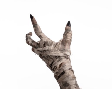 Halloween Tema: korkunç eski mumya eller üzerinde beyaz bir arka plan