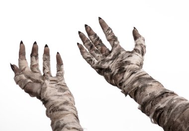 Halloween Tema: korkunç eski mumya eller üzerinde beyaz bir arka plan