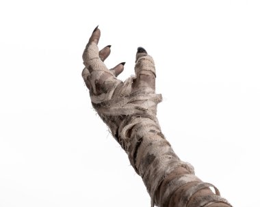 Halloween Tema: korkunç eski mumya eller üzerinde beyaz bir arka plan