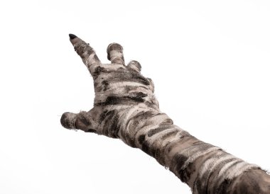 Halloween Tema: korkunç eski mumya eller üzerinde beyaz bir arka plan