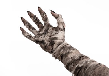 Halloween Tema: korkunç eski mumya eller üzerinde beyaz bir arka plan