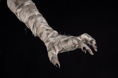 Halloween Tema: korkunç eski mumya eller üzerinde siyah bir arka plan