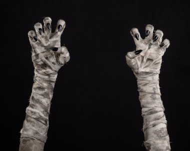 Halloween Tema: korkunç eski mumya eller üzerinde siyah bir arka plan