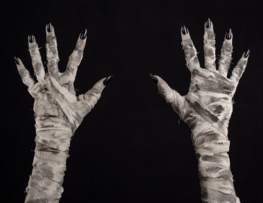 Halloween Tema: korkunç eski mumya eller üzerinde siyah bir arka plan