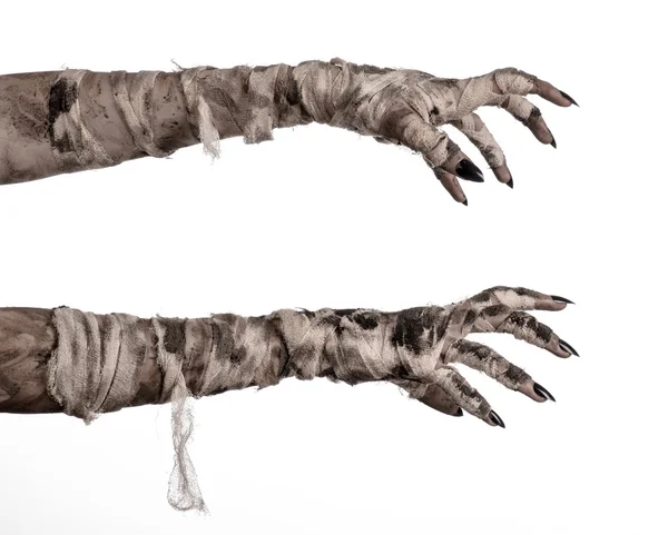 Tema de Halloween: terribles manos de momia sobre un fondo blanco —  Fotos de Stock