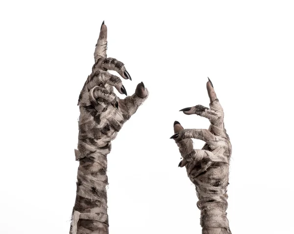 Halloween-tema: fruktansvärt gammal mumie händer på vit bakgrund — Stockfoto