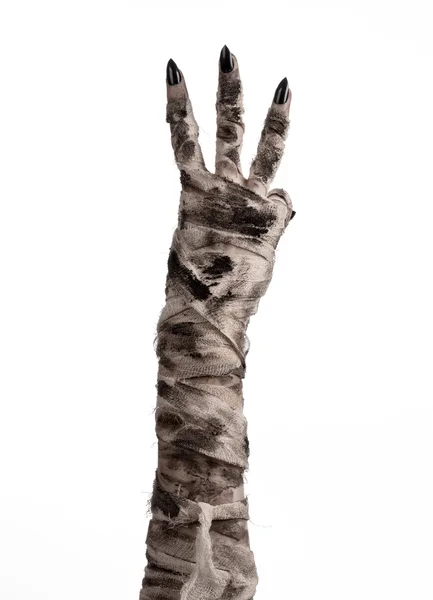 Halloween theme: terrible old mummy hands on a white background — Stock Photo, Image