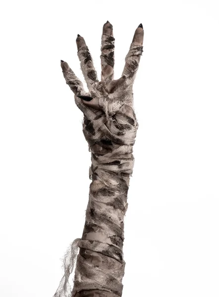 Halloween theme: terrible old mummy hands on a white background — Stock Photo, Image