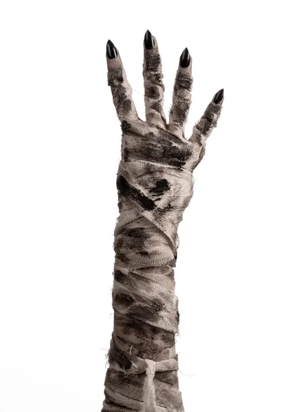 Halloween theme: terrible old mummy hands on a white background — Stock Photo, Image