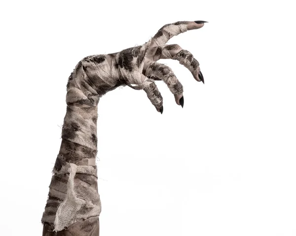 Halloween theme: terrible old mummy hands on a white background — Stock Photo, Image