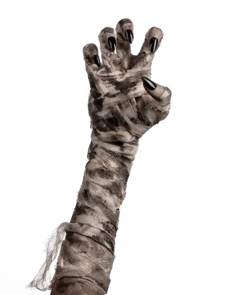 Halloween theme: terrible old mummy hands on a white background — Stock Photo, Image