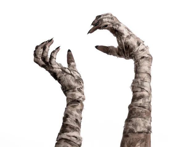Tema de Halloween: terríveis mãos velhas múmias em um fundo branco — Fotografia de Stock
