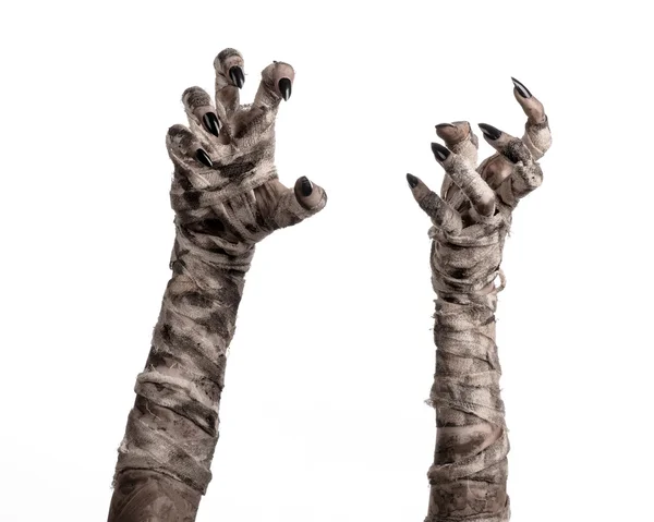 Halloween-Thema: schreckliche alte Mumienhände auf weißem Hintergrund — Stockfoto