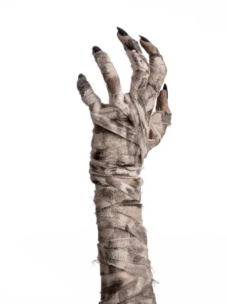 Halloween theme: terrible old mummy hands on a white background — Stock Photo, Image