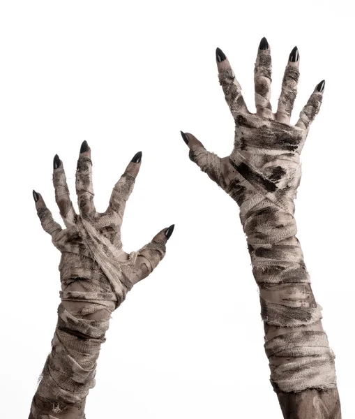 Halloween theme: terrible old mummy hands on a white background — Stock Photo, Image