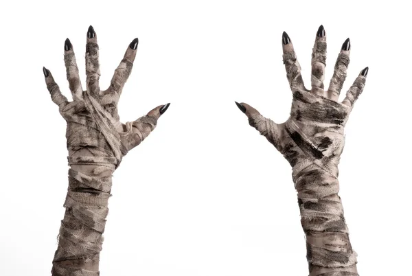 Halloween theme: terrible old mummy hands on a white background — Stock Photo, Image