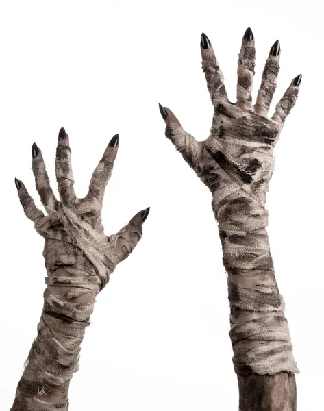 Halloween theme: terrible old mummy hands on a white background — Stock Photo, Image