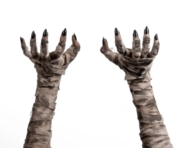 Halloween theme: terrible old mummy hands on a white background — Stock Photo, Image