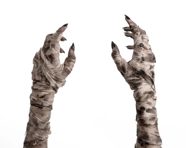 Halloween theme: terrible old mummy hands on a white background — Stock Photo, Image