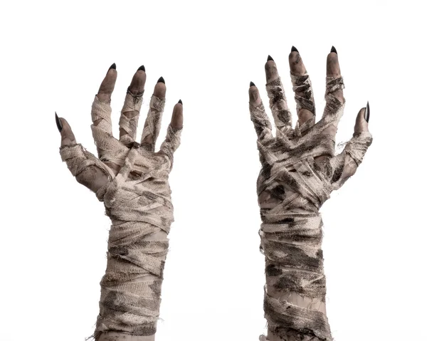 Halloween theme: terrible old mummy hands on a white background — Stock Photo, Image