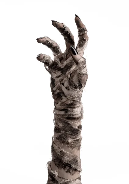 Halloween theme: terrible old mummy hands on a white background — Stock Photo, Image