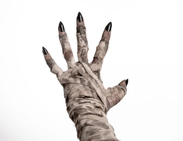 Halloween theme: terrible old mummy hands on a white background — Stock Photo, Image