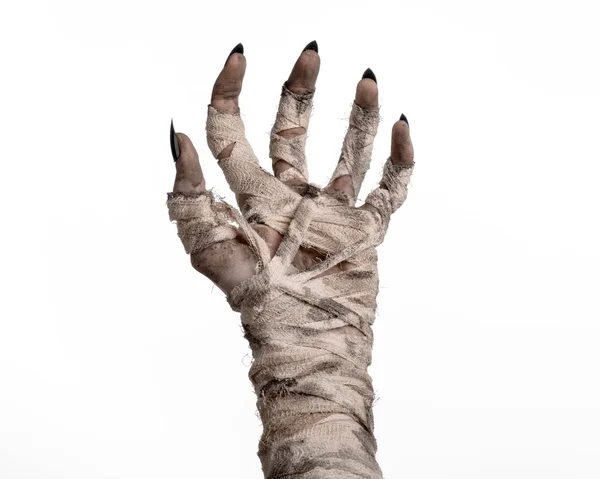 Halloween theme: terrible old mummy hands on a white background — Stock Photo, Image