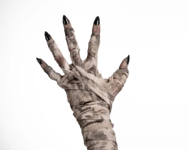 Halloween theme: terrible old mummy hands on a white background — Stock Photo, Image