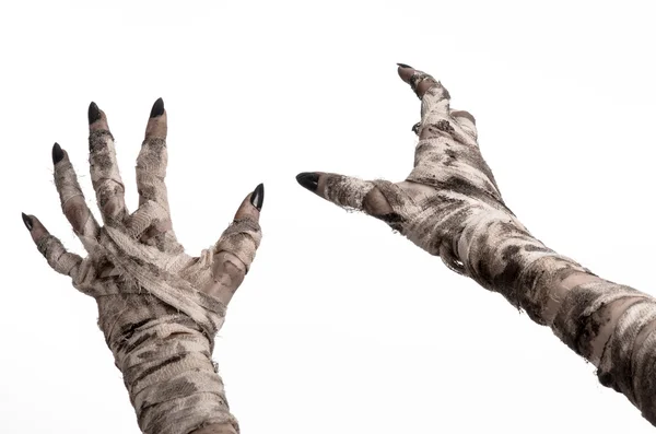 Halloween theme: terrible old mummy hands on a white background — Stock Photo, Image