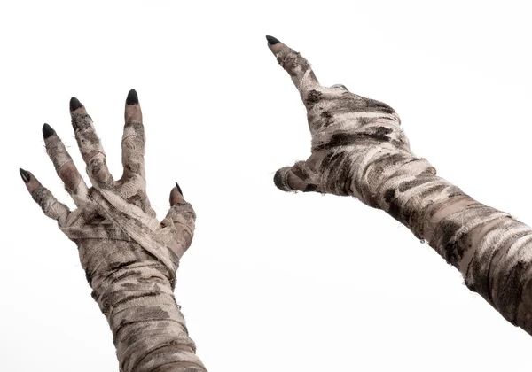 Halloween theme: terrible old mummy hands on a white background — Stock Photo, Image