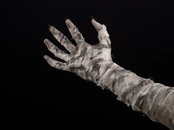 Halloween theme: terrible old mummy hands on a black background — Stock Photo, Image