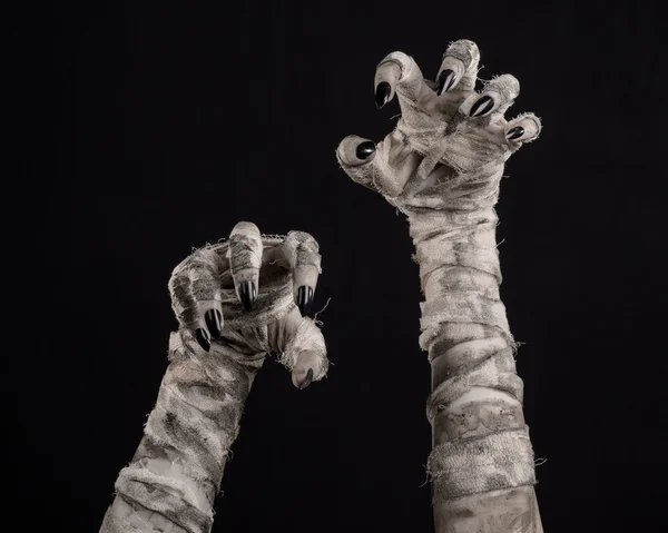 Halloween theme: terrible old mummy hands on a black background — Stock Photo, Image