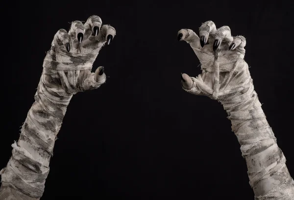 Halloween theme: terrible old mummy hands on a black background — Stock Photo, Image