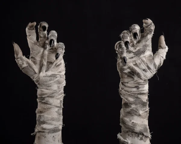 Halloween theme: terrible old mummy hands on a black background — Stock Photo, Image