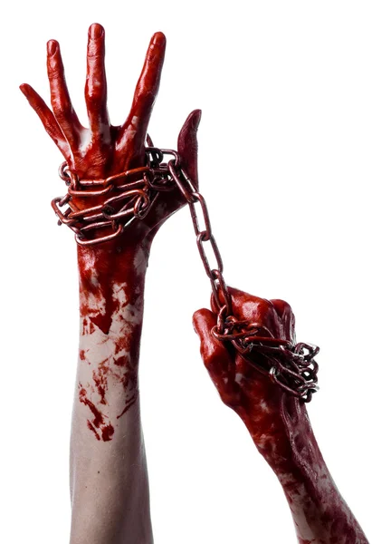 Corrente segurando mão sangrenta, corrente sangrenta, tema de Halloween, fundo branco, isolado, assassino, ventilador, louco — Fotografia de Stock