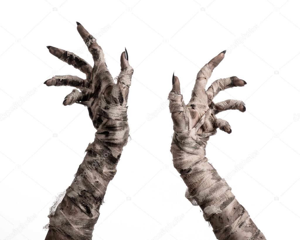 Halloween theme: terrible old mummy hands on a white background