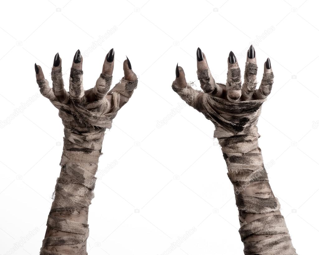 Halloween theme: terrible old mummy hands on a white background