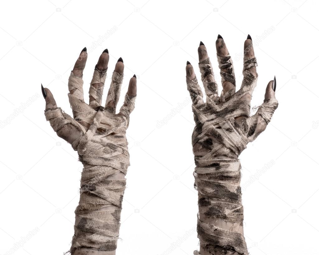 Halloween theme: terrible old mummy hands on a white background