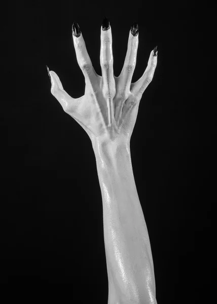 White hands of death with black nails, white death, the devil 's hands, the hands of a demon, white skin, halloween theme, black background, isolated — стоковое фото