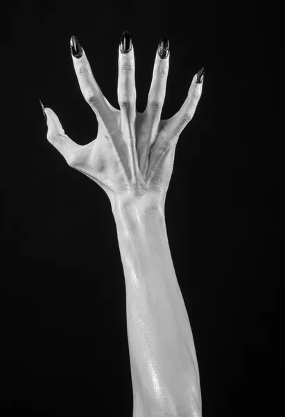 White hands of death with black nails, white death, the devil 's hands, the hands of a demon, white skin, halloween theme, black background, isolated — стоковое фото