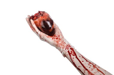 İşlem ve tıp Tema: insan kalbi Studio beyaz bir arka plan üzerinde izole bir kanlı beyaz eldiven tutarak kanlı el cerrahı