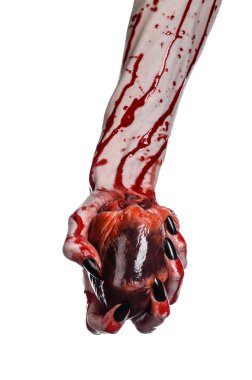 Kanlı korku ve Halloween Tema: korkunç kanlı eller kanlı insan kalbi beyaz bir arka plan üzerinde tutarak siyah çivi ile izole Studio arka plan