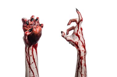 Kanlı korku ve Halloween Tema: korkunç kanlı eller kanlı insan kalbi beyaz bir arka plan üzerinde tutarak siyah çivi ile izole Studio arka plan