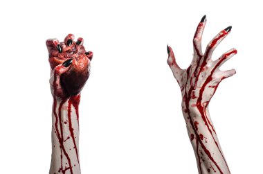 Kanlı korku ve Halloween Tema: korkunç kanlı eller kanlı insan kalbi beyaz bir arka plan üzerinde tutarak siyah çivi ile izole Studio arka plan