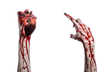 Kanlı korku ve Halloween Tema: korkunç kanlı eller kanlı insan kalbi beyaz bir arka plan üzerinde tutarak siyah çivi ile izole Studio arka plan