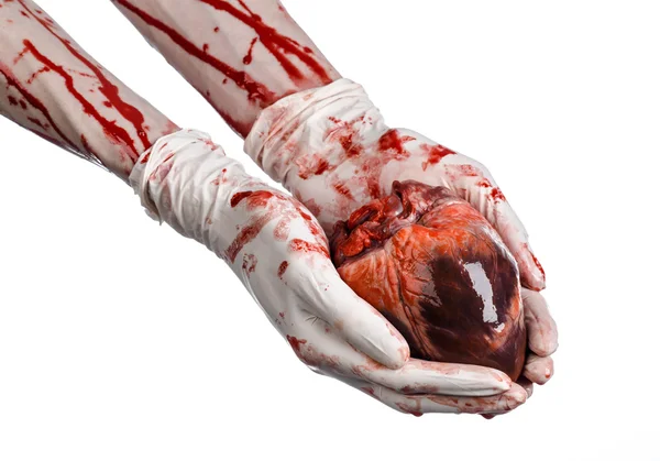 Operation and medicine theme: Bloody hand surgeon holding a human heart in a bloody white gloves isolated on a white background in studio — Stock Photo, Image