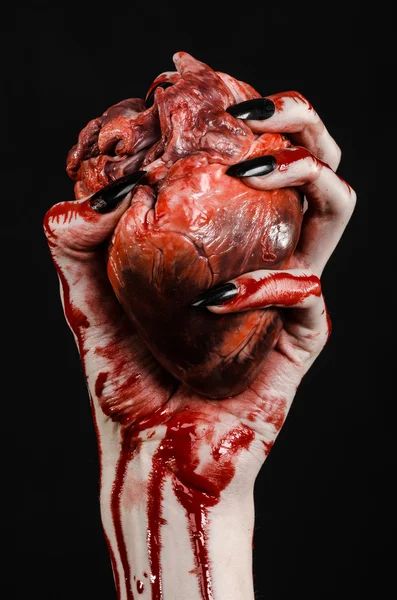 Bloody horror and Halloween theme: Terrible bloody hands with black nails holding a bloody human heart on a black background isolated background in studio — Stock Photo, Image