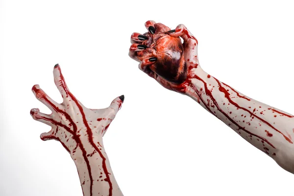 Horror sangrento e tema de Halloween: mãos sangrentas terríveis com unhas pretas segurando um coração humano sangrento em um fundo branco isolado em estúdio — Fotografia de Stock