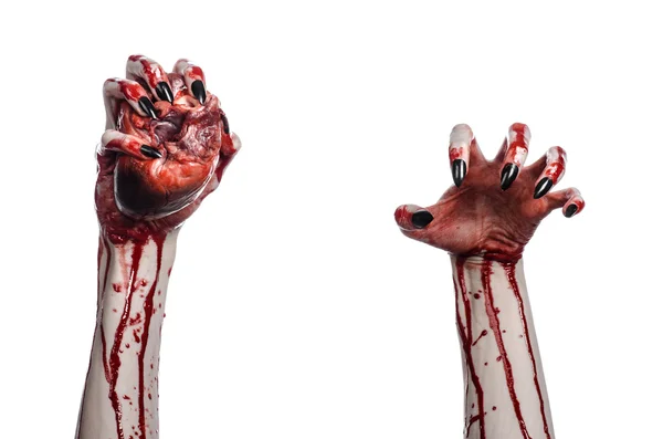 Horror sangrento e tema de Halloween: mãos sangrentas terríveis com unhas pretas segurando um coração humano sangrento em um fundo branco isolado em estúdio — Fotografia de Stock