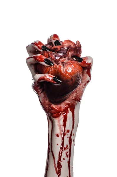 Bloody horror and Halloween theme: Terrible bloody hands with black nails holding a bloody human heart on a white background isolated background in studio — Stock Photo, Image